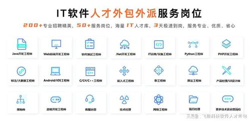 軟件人力外包 提升企業效率的戰略選擇