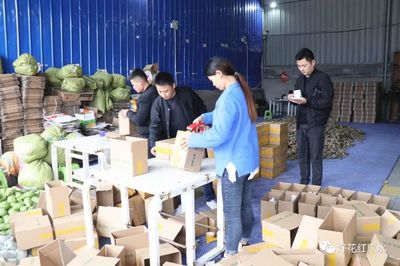 惠水:預熱&ldquo;雙十一&rdquo; 佛手瓜受青睞