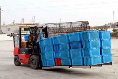 張掖市人民政府